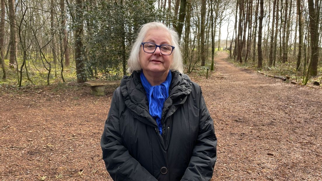 Finy Stulemeijer