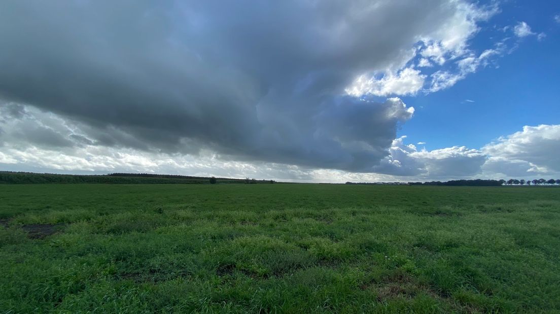 De plek vanaf Stadskanaal-Noord richting het toekomstige windpark (Rechten: Janet Oortwijn/RTV Drenthe)