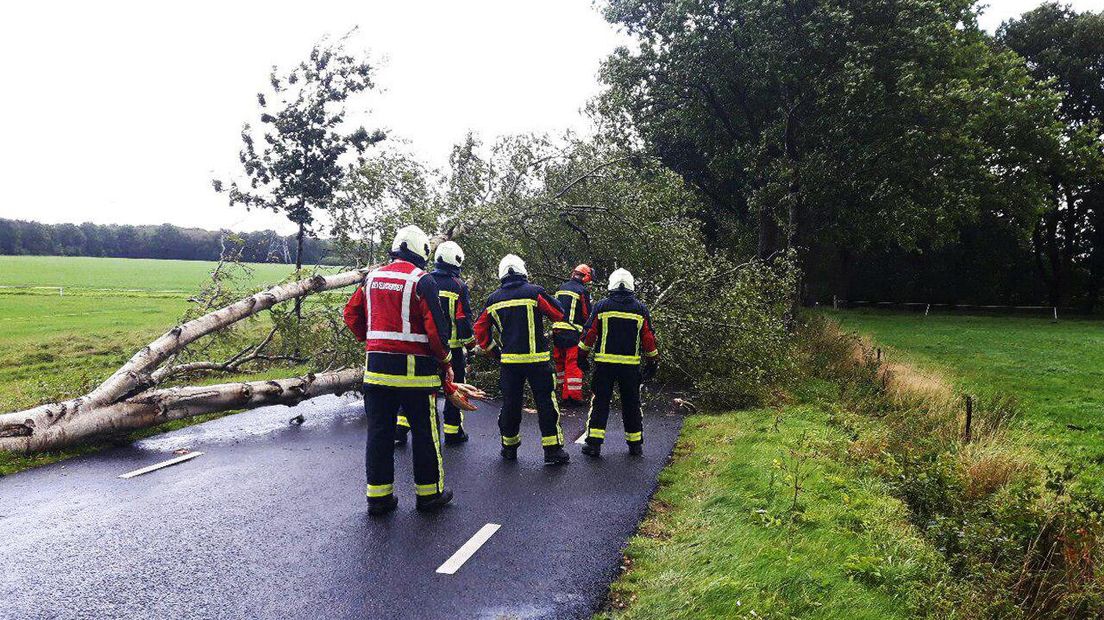 In Hoogeveen haalt de brandweer een boom van de weg (Rechten: Persbureau Meter)
