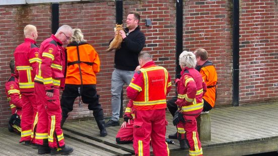 112-nieuws: Brandweer bevrijdt kat die klem zit onder steiger in Uithuizen