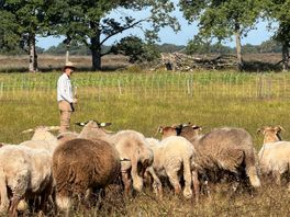 Wat is er dit weekend te doen in Drenthe?