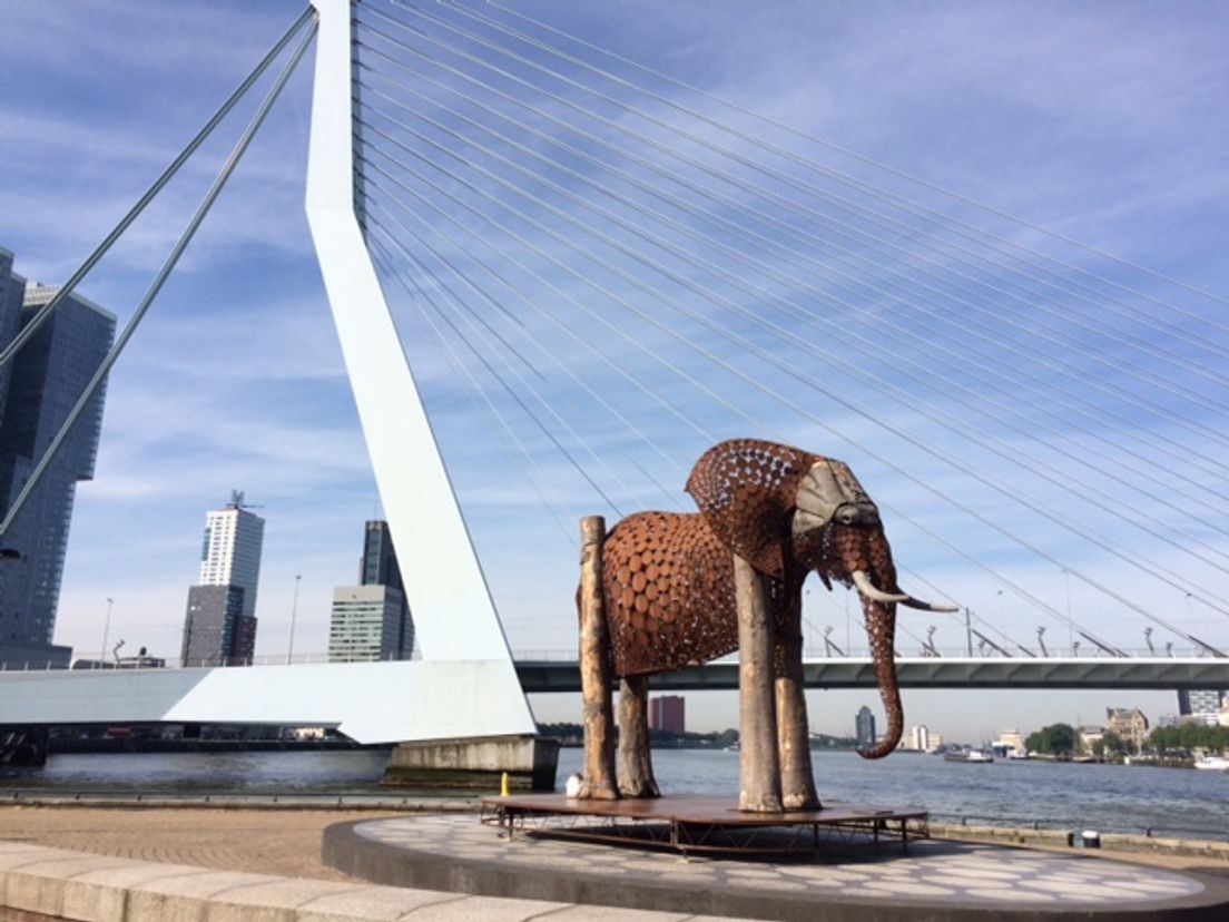 The weeping elephant , Noordereiland Rotterdam