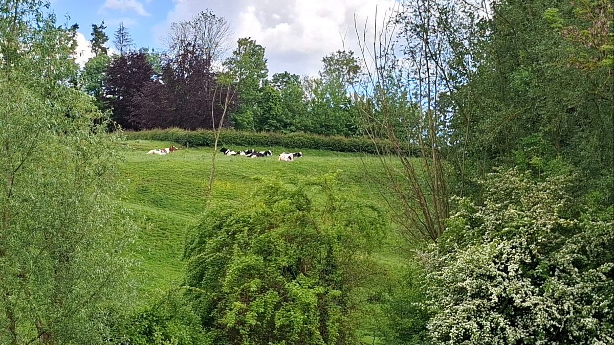 Limburg Kiekt: Lottum, Echt, Aalbeek en...
