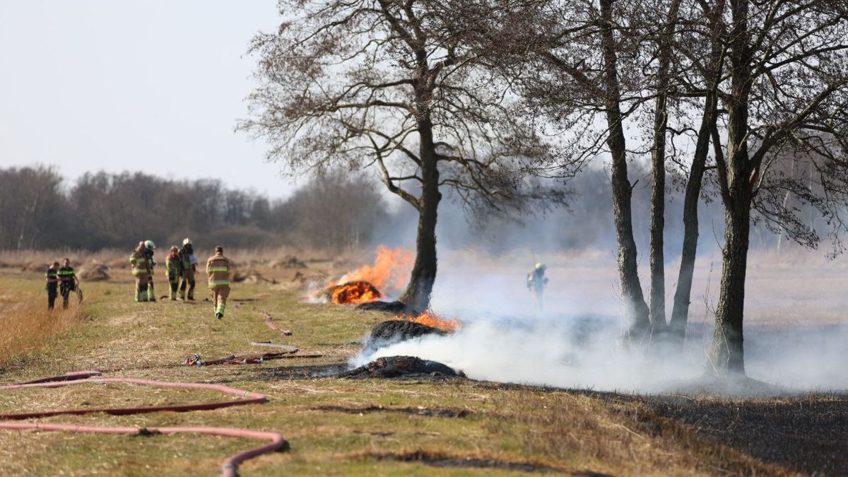 Verbod op verbranden groenafval na drie rietbranden rond de Weerribben