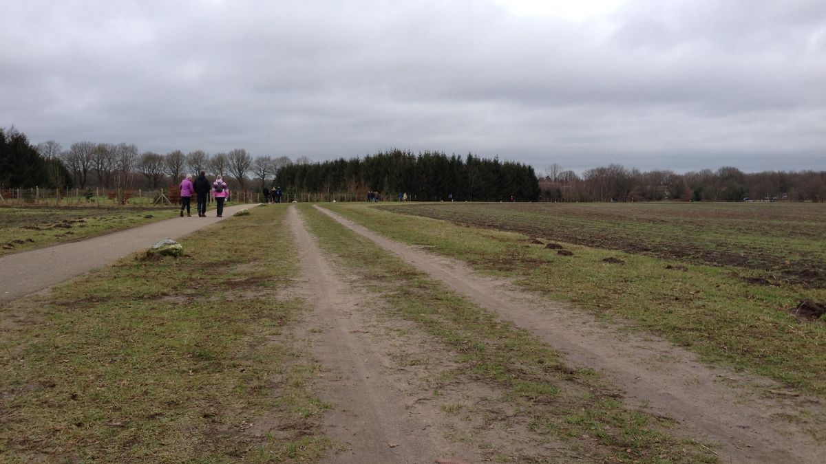 Valthe loopt voor spek en bonen