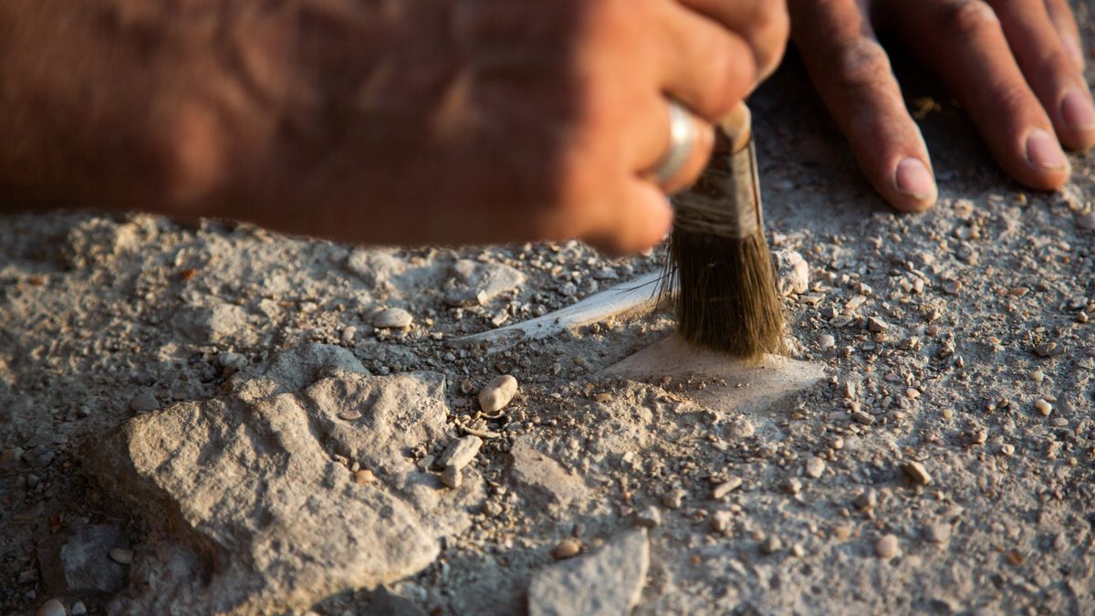 Resten van boerderij uit de achttiende eeuw gevonden bij proefgravingen in Makkinga