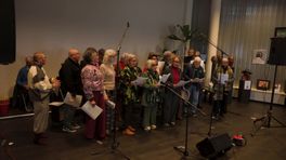 Molukse cultuur in de spotlight