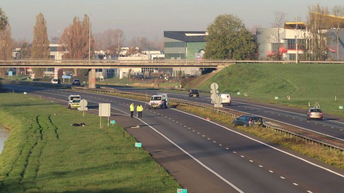 Bij het ongeluk op de A73 raakte een motorrijder gewond.