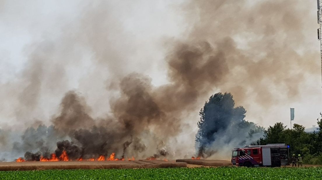 Grote brand in tarweveld, 3.000 vierkante meter afgebrand