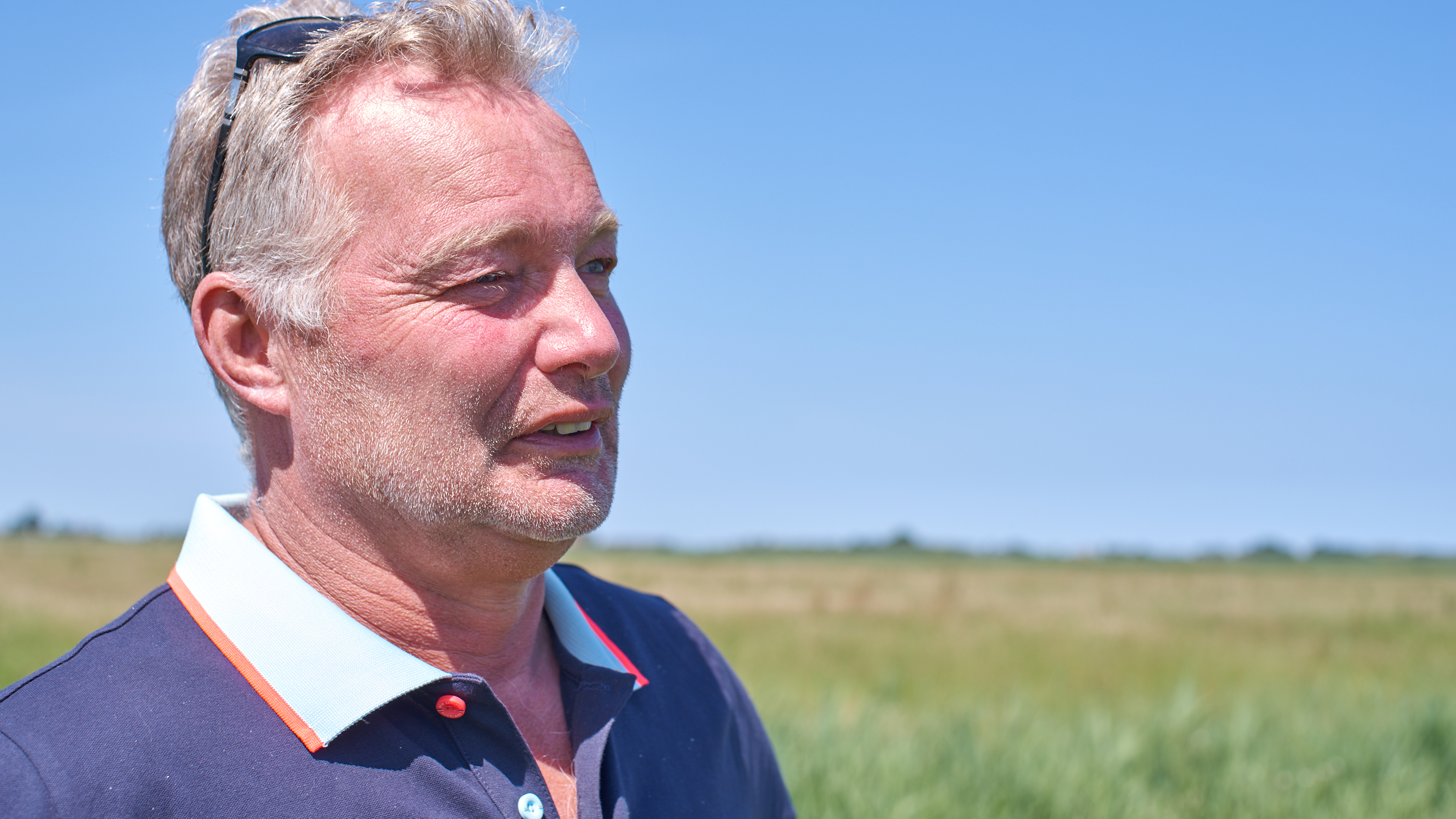 Hoe krije wy wer mear skriezen yn Fryslân? By Jorwert ha se dêr wol ideeën oer