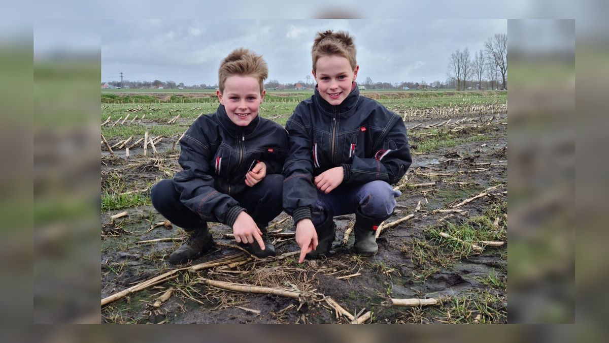 Broertjes Nico en Menno Boersma (10) vinden eerste jeugdkievitsei bij Oudehaske: een tweetje