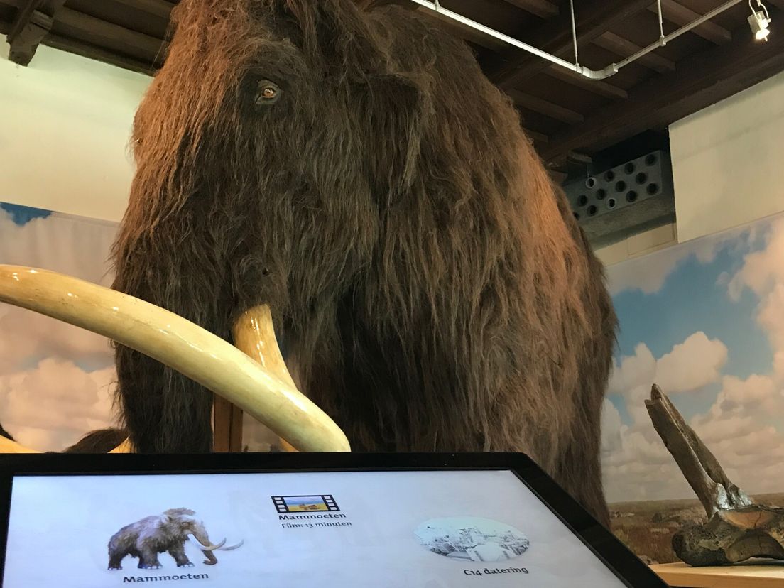 OERmuseum uit de zorgen dankzij nieuwe vrijwilligers: 'Veel meer dan gehoopt'