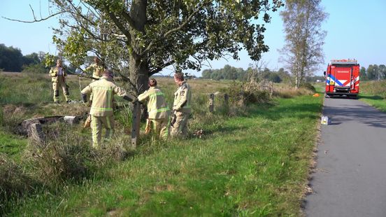 Brandweer uit Eelde redt koe uit modderige sloot