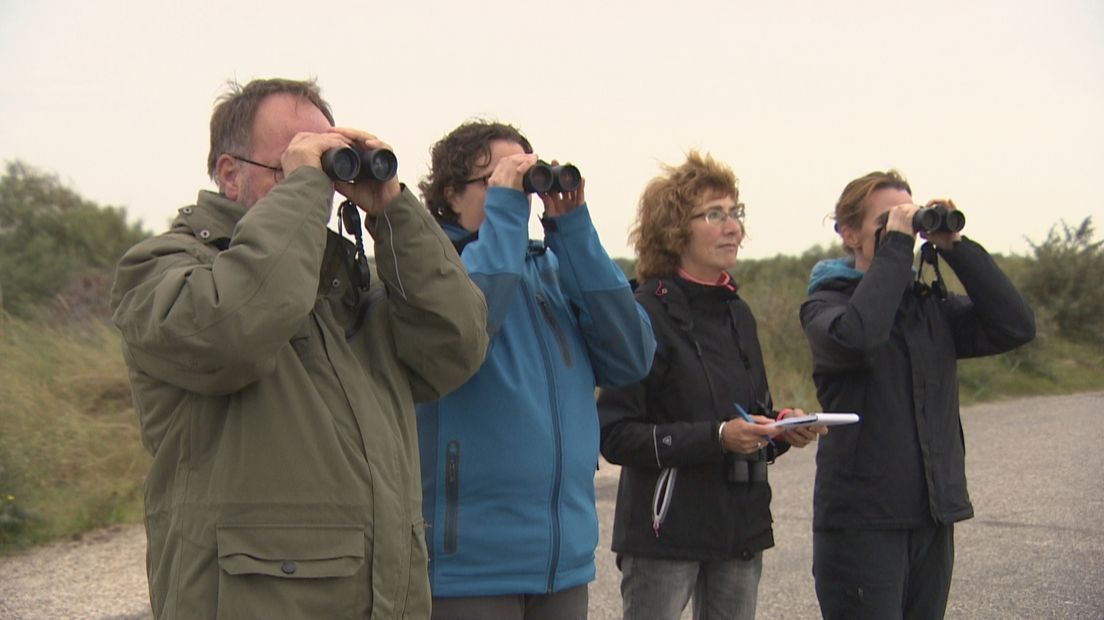 'Andere jaren vliegen hier de spreeuwen je met duizenden om de oren'