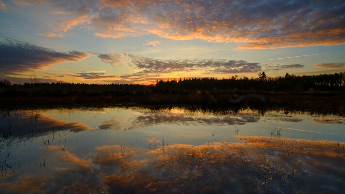 Zonsopkomst boven het Grolloërveen