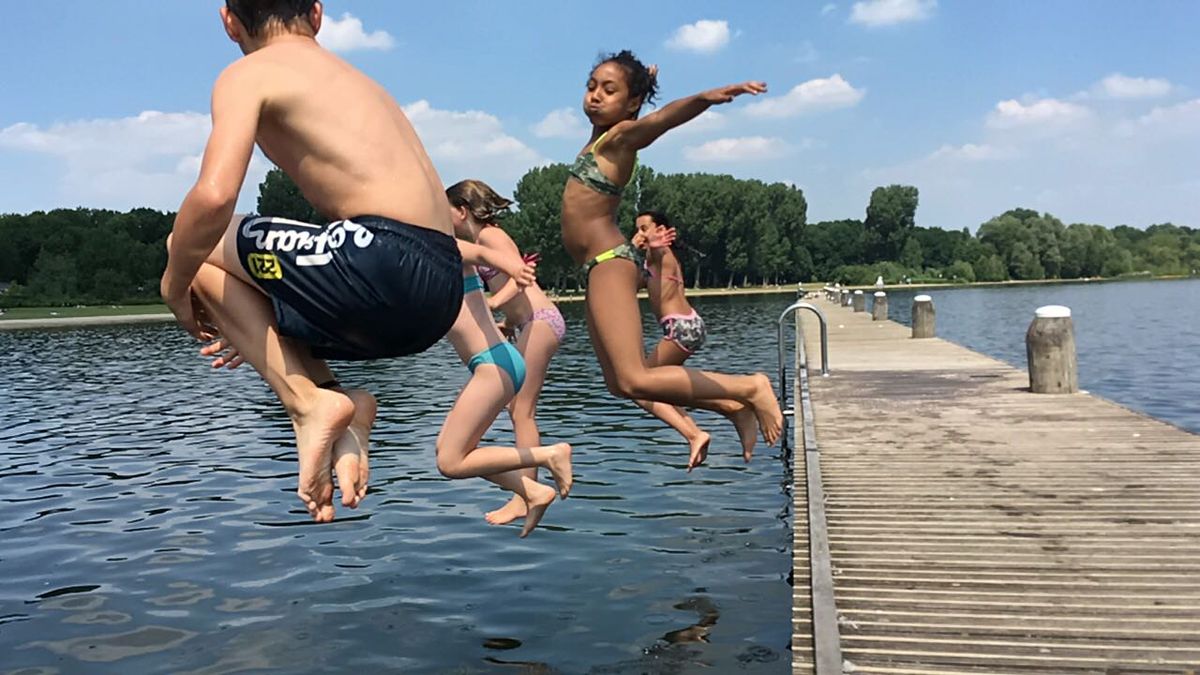 Blauwalg in Goudriaan en Alblasserdam