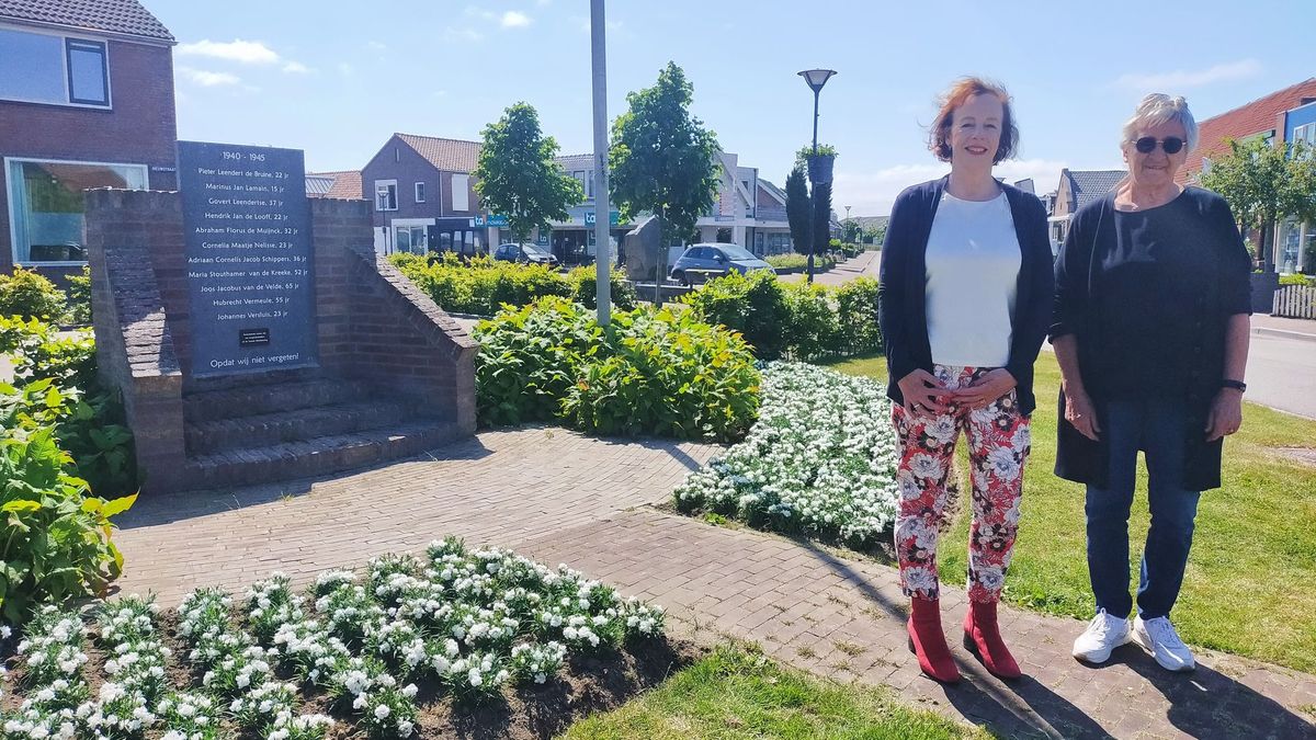 Vierhonderd witte anjers in Kamperland bloeien in aanloop naar Veteranendag
