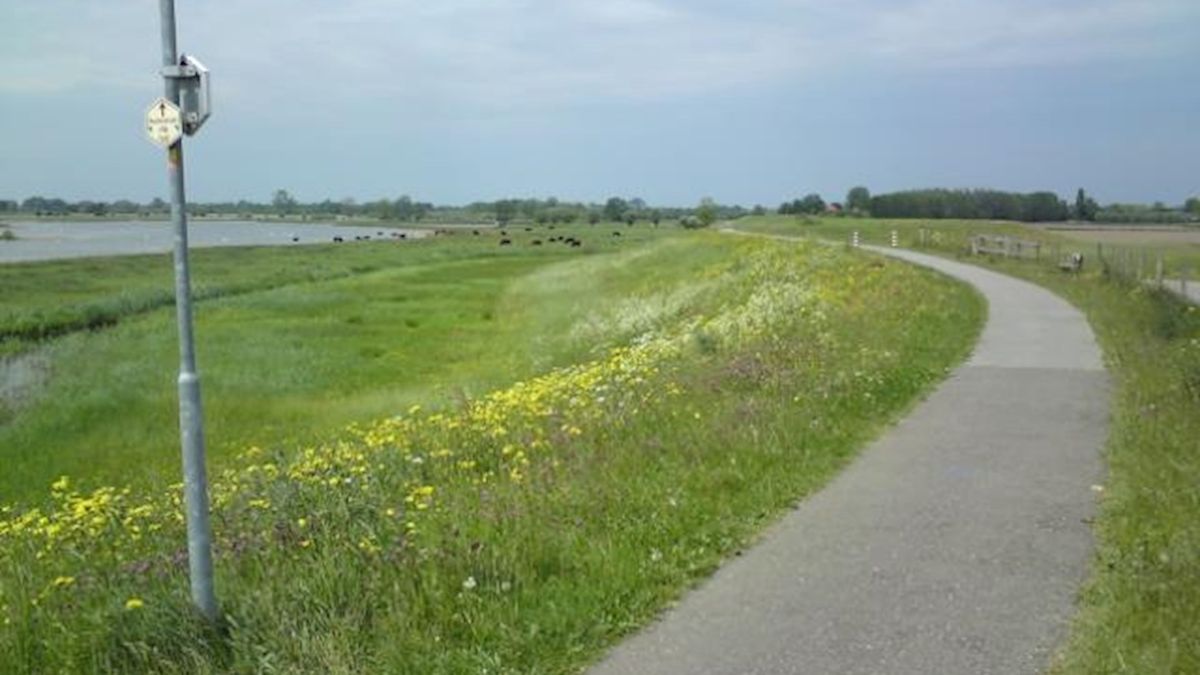 Dijkverlegging Westenholte ter inzage