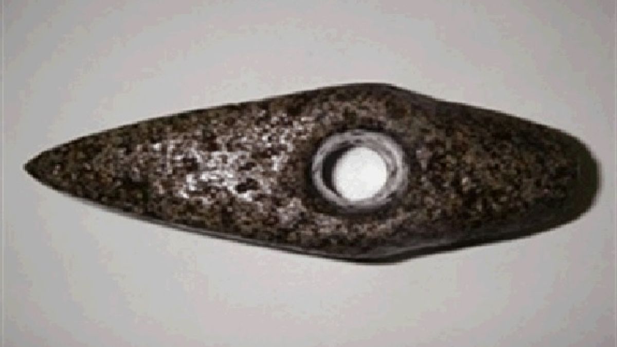 Archeologen vinden prehistorische bijl in beekdal bij Stuifzand