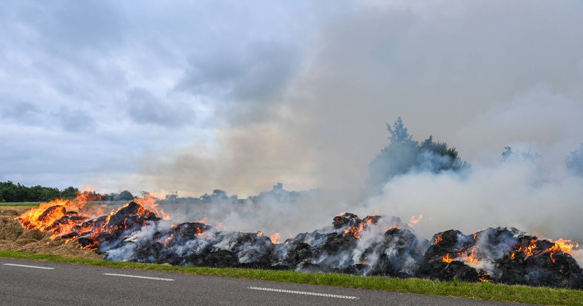 Brand langs A7 bij Marum, Stadjer gewond en aangehouden bij steekpartij in Friesland