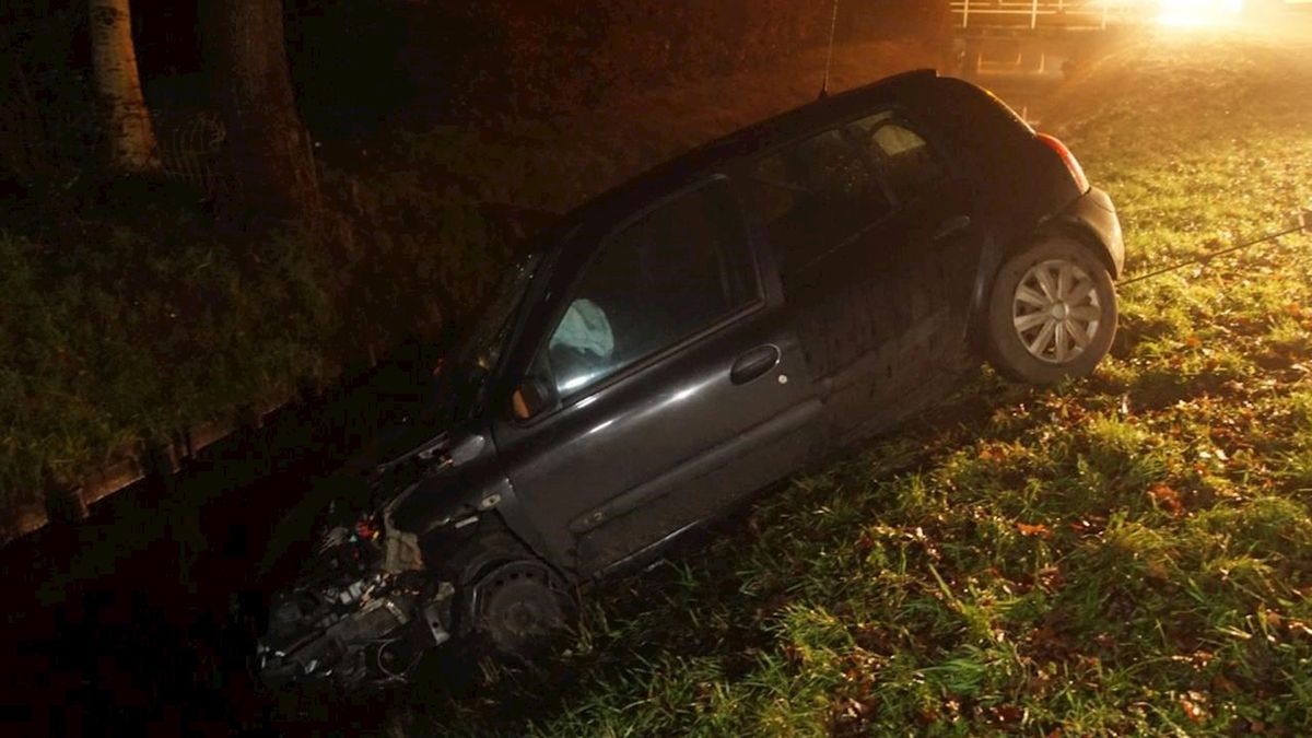 Auto vliegt uit de bocht en ramt boom in Punthorst