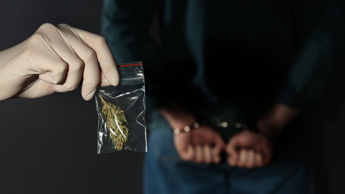 Verdachten van hennepteelt bij Haskerdijken, Drachten en Burgum aangehouden