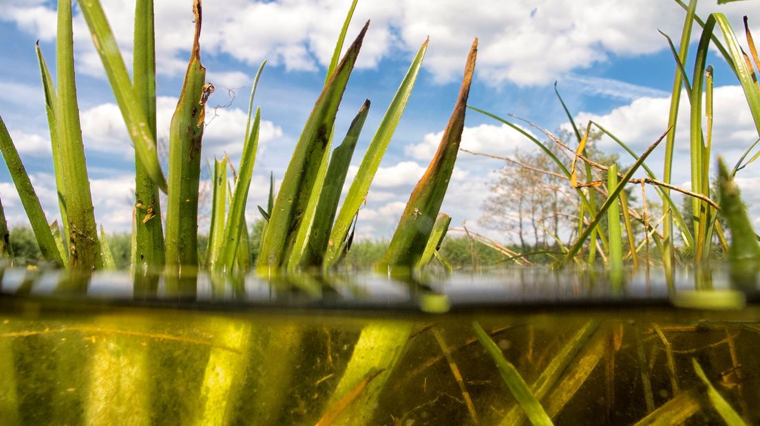 Het waterschap hoopt met de maatregel langer aan de watervraag te kunnen voldoen