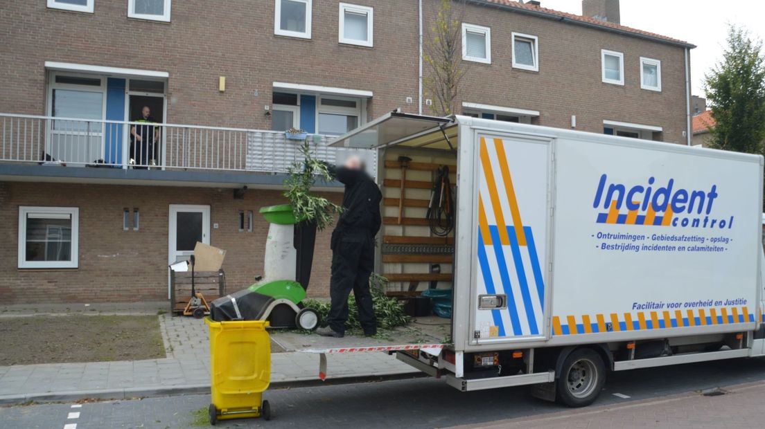 Politie rolt hennepkwekerij met 300 planten op