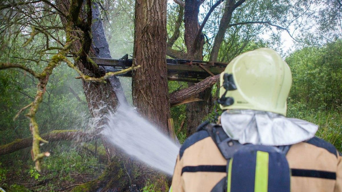 Boomhut in brand bij Herxen: brandweer rukt vanwege droogte uit met groot materieel