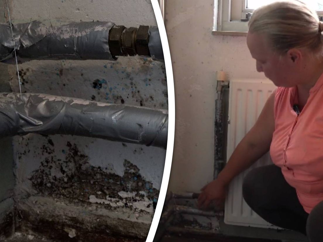 Schimmel in het huis van Fabiola