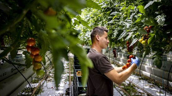 Arbeidsmigratie in Gelderland, wat vinden de politieke partijen?