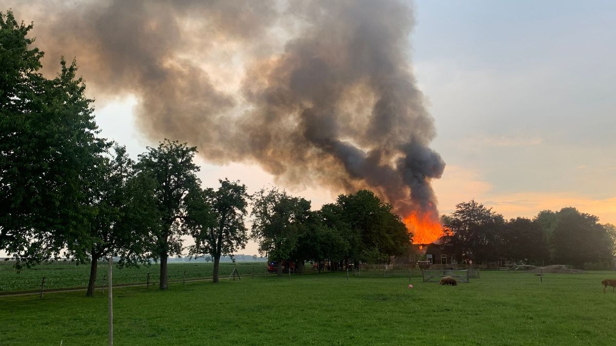 Rietgedekte woning in Welsum verwoest door brand