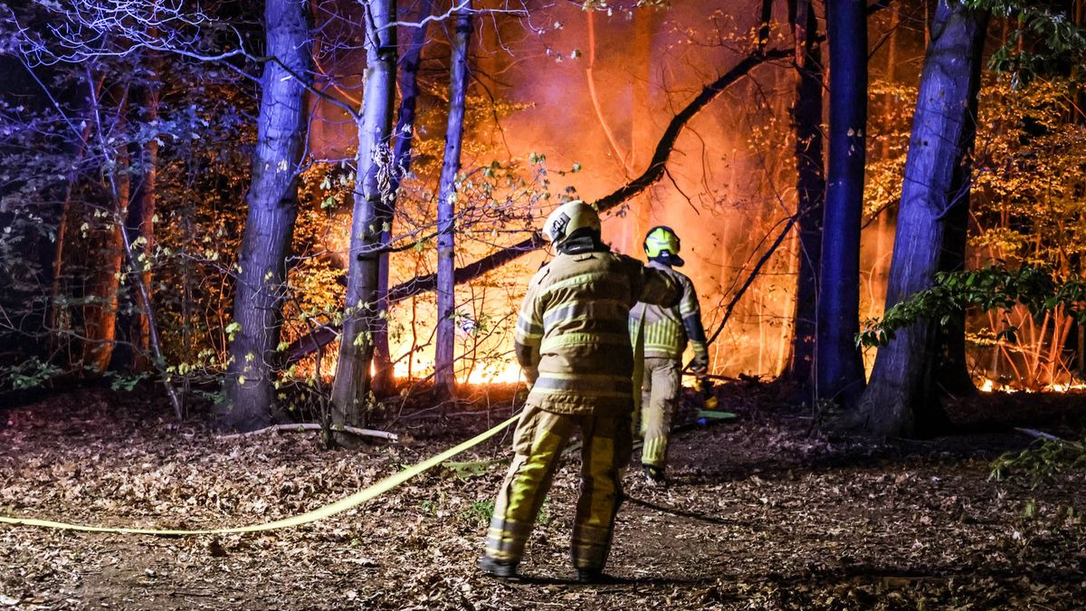 Met meerdere bluswagens gaat brandweer bosbrand Amersfoort te lijf