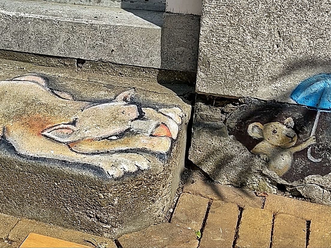 ...en daar was ineens de poes in de Hoogstraat in Vlaardingen