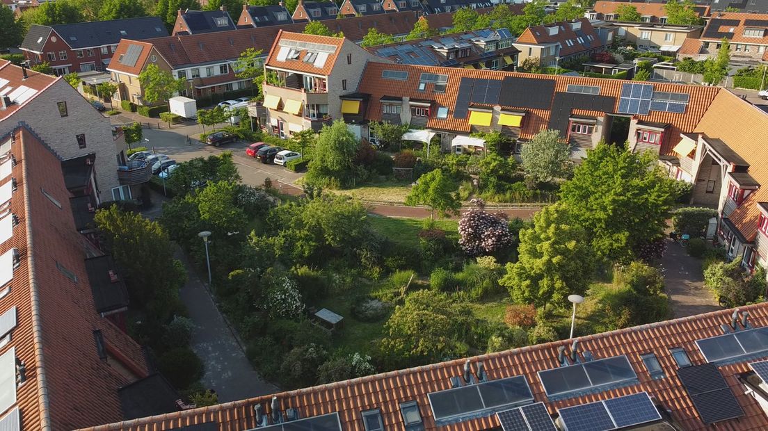 Buurtbewoners in de Zwolse ecowijk creëerden hun eigen paradijsje middenin hun wijk