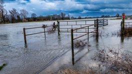 Hoogwater levert ook mooie plaatjes op