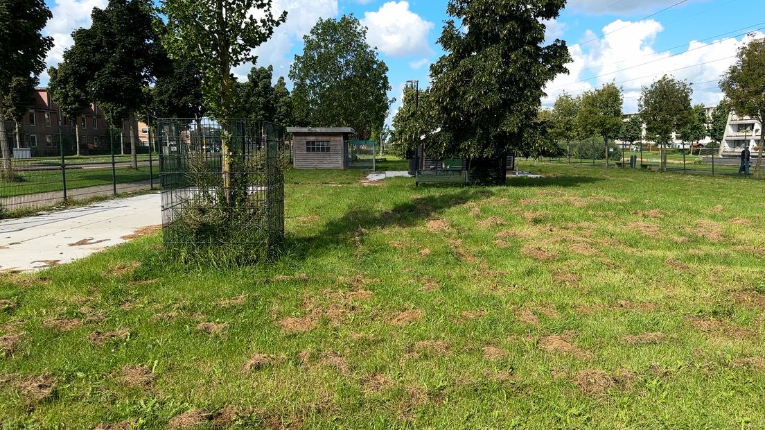 De lege dierenweide in Nieuwegein