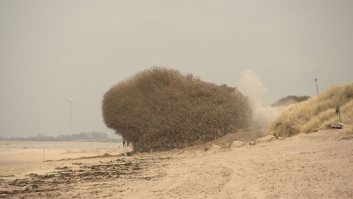 Engelse WO II-bom gevonden in Breskens