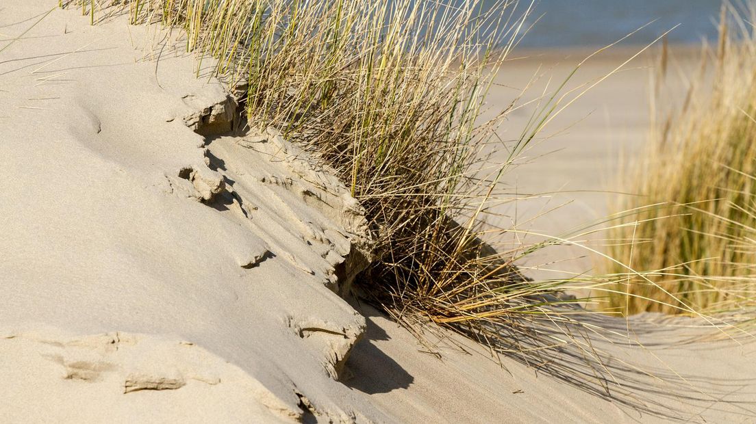 De Universiteit Leiden doet onderzoek naar microplastic op de (Zeeuwse) stranden