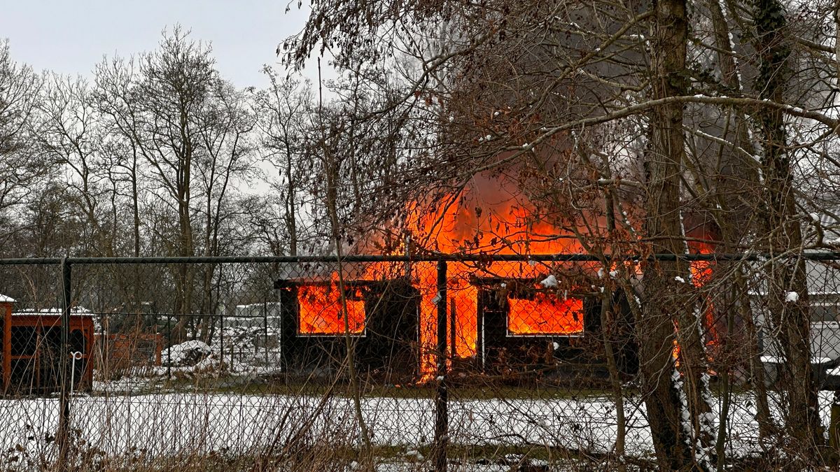 Twee honden omgekomen bij uitslaande brand in Jistrum