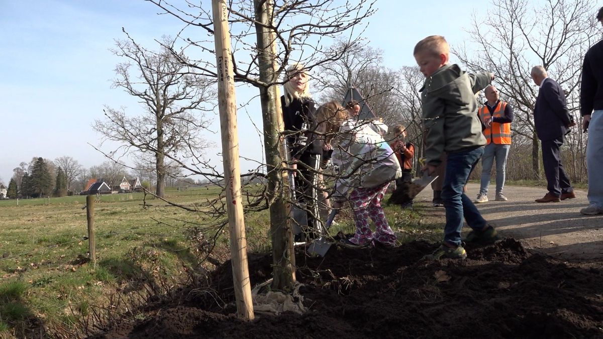 De valwind in Winterswijk liet niets heel, nu planten kinderen nieuwe bomen