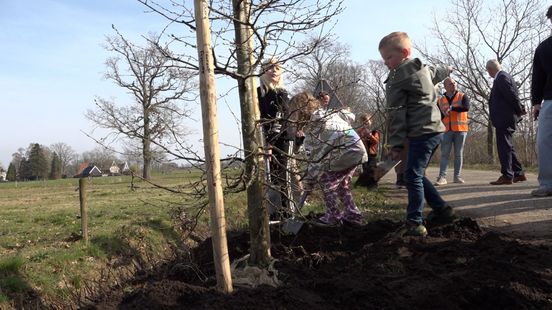 De valwind in Winterswijk liet niets heel, nu planten kinderen nieuwe bomen