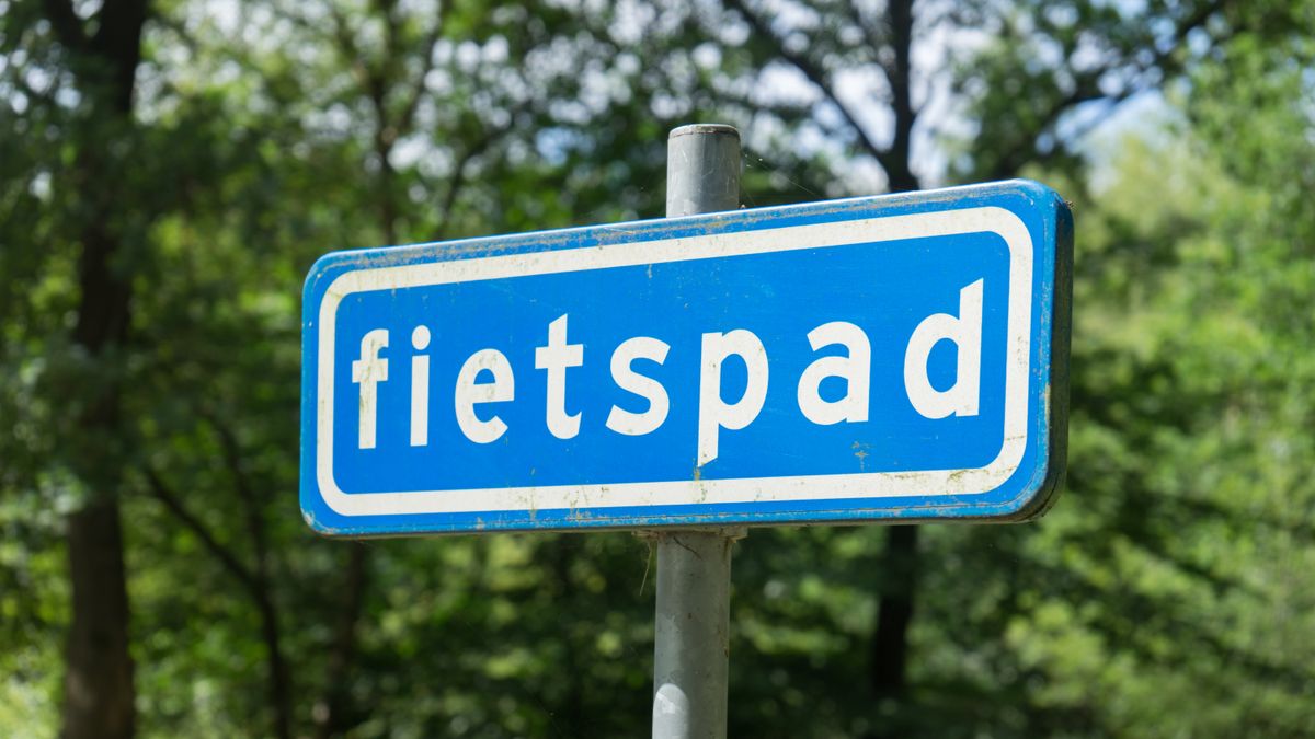 Protest tegen bomenkap voor fietspad langs Oranjekanaal