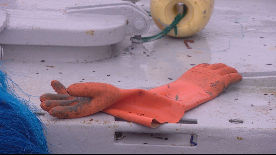 De bemanningsleden werden dinsdagmorgen vroeg bij aankomst in Vlissingen aangehouden.