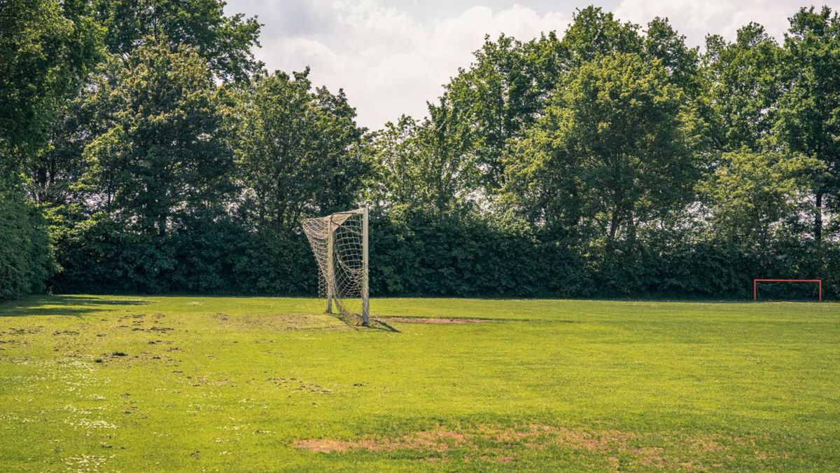 Penningmeester verrijkt zichzelf, voetbalclub bijna failliet
