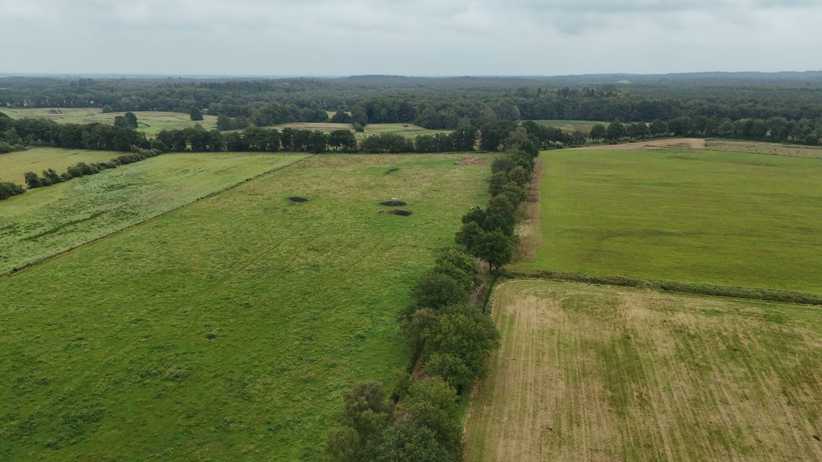 Landbouwgrond wordt natuurgebied bij Zeegse: 2000 vrachtwagenritten om zand af te voeren