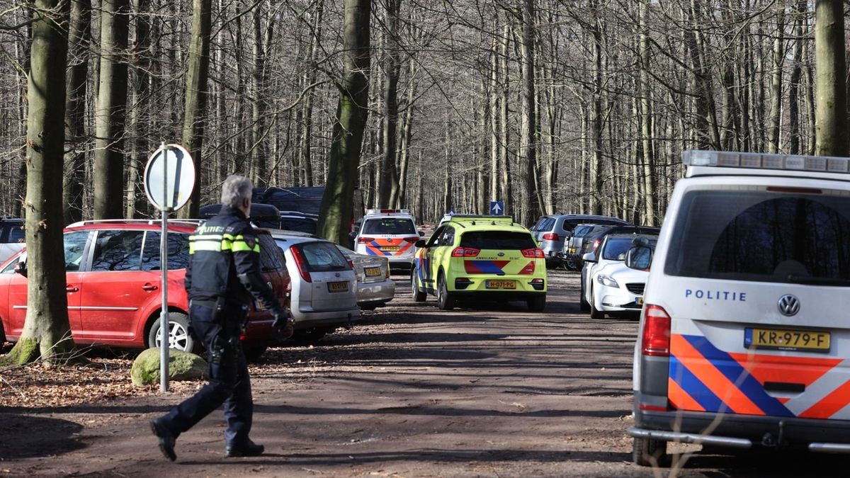 Aanhouding voor steekpartij in Drouwen: kind zwaargewond
