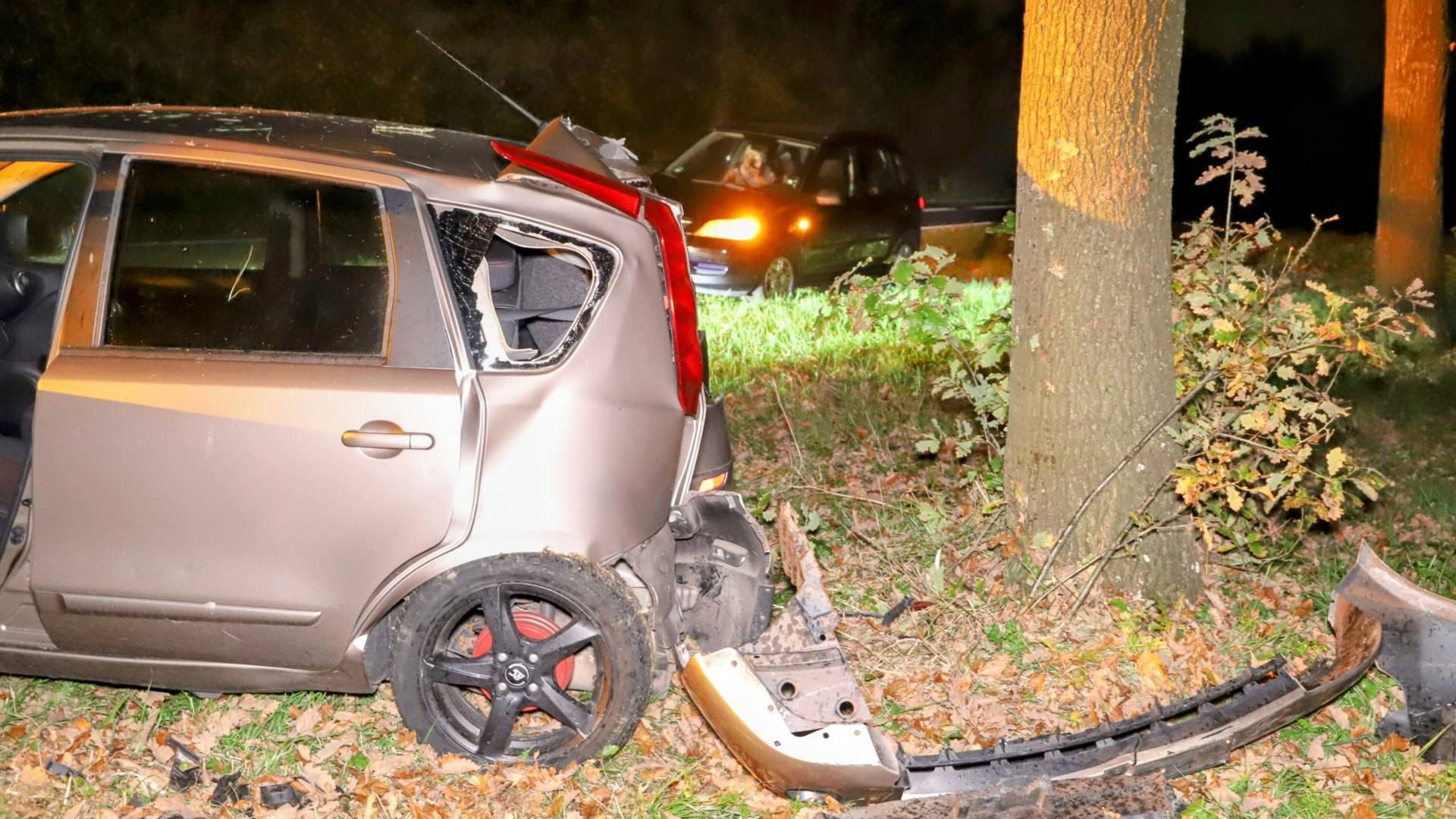 Verkeerslicht en auto kapot na aanrijding • botsing tegen boom.