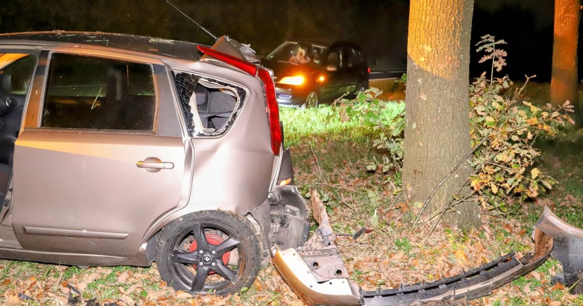 Traffic Light Collision: Car Damage & Tree Impact