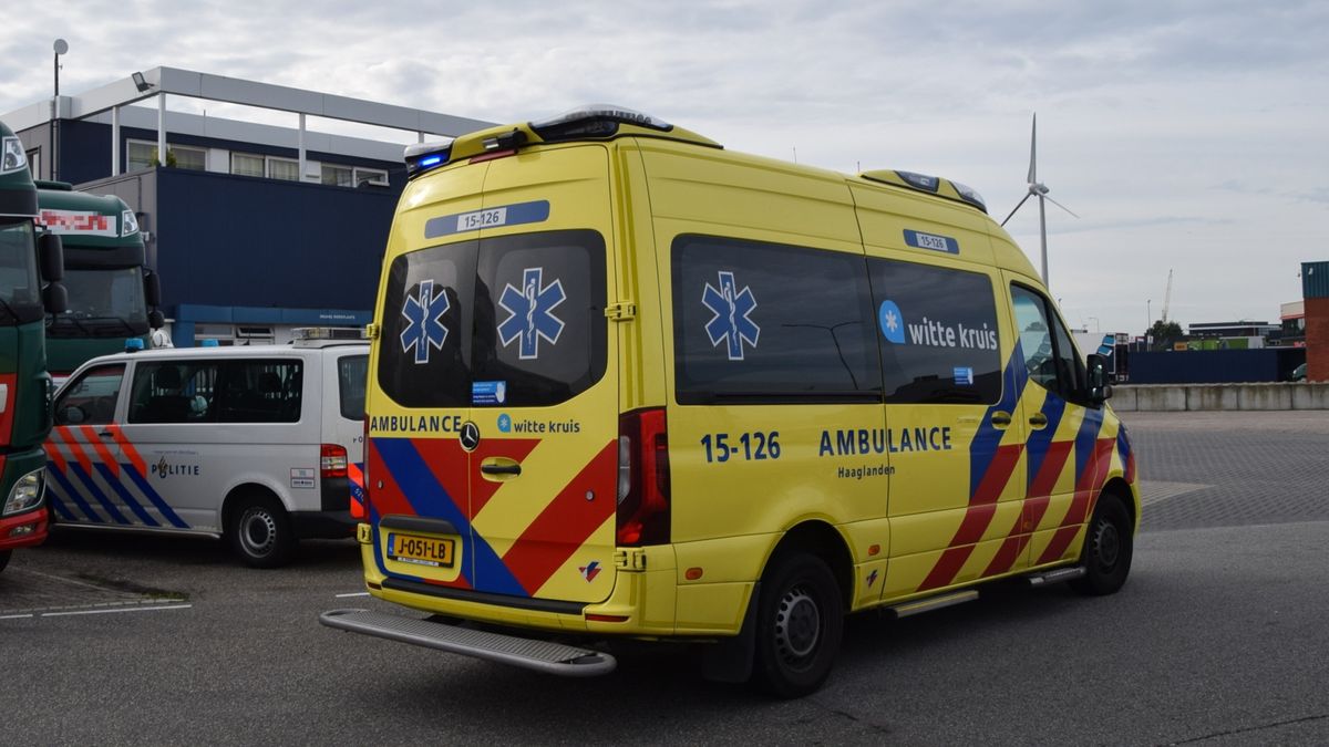 Juris sterft na geweldsuitbarsting op verjaardagsfeestje, lange celstraf voor dader